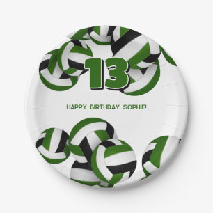 green black volleyballs kids birthday party paper plate