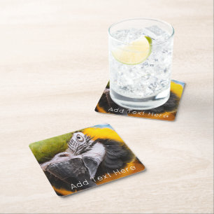 Green, Blue and Yellow Macaw Parrot Square Paper Coaster