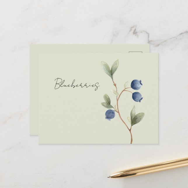 Green Blue Blueberries Fruit   Postcard (Front/Back In Situ)
