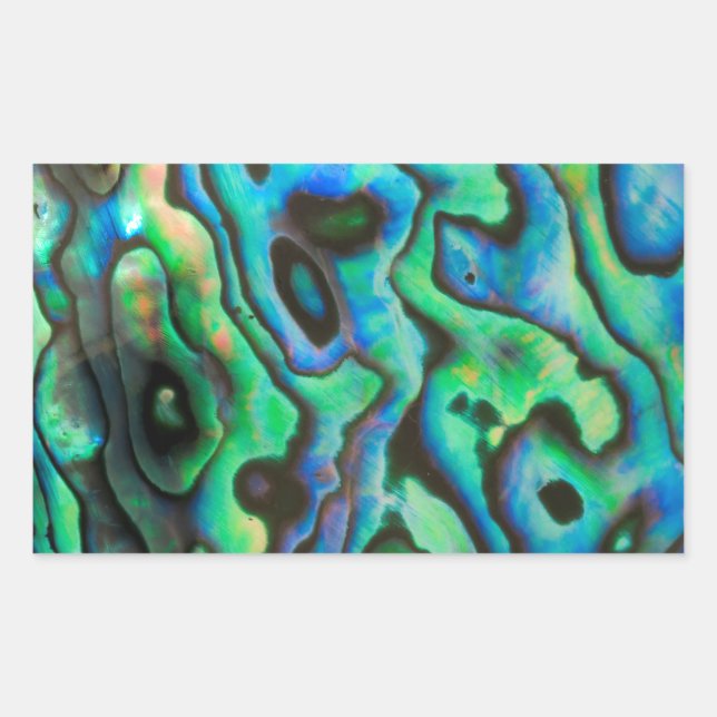 Green blue paua abalone shell rectangular sticker (Front)