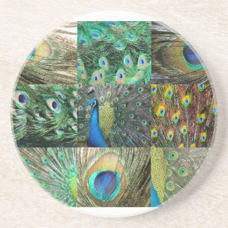 Green Blue Peacock photo collage Coaster