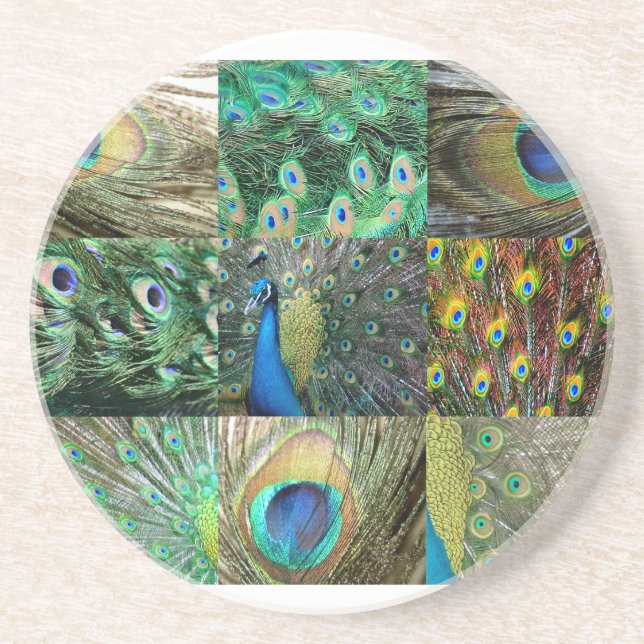 Green Blue Peacock photo collage Coaster (Front)