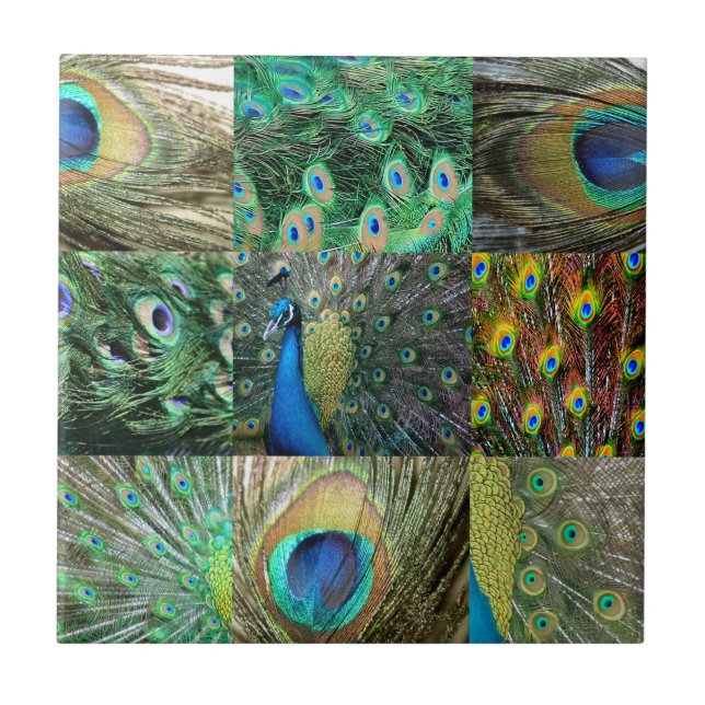 Green Blue Peacock photo collage Tile (Front)