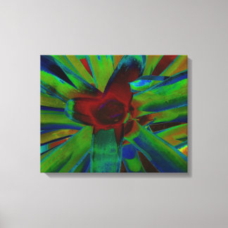 Green Blue Red Bromeliad Plant Image Canvas Print