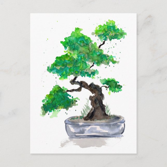 Green Bonsai Watercolor Postcard (Front)