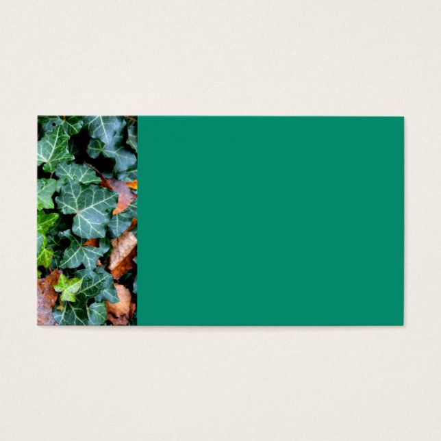 Green botanical Ivy and field stone (Front)
