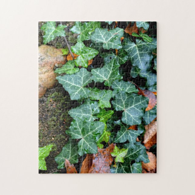 Green botanical Ivy and field stone Jigsaw Puzzle (Vertical)