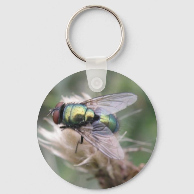 Green Bottle Fly Macro Keychain (Front)