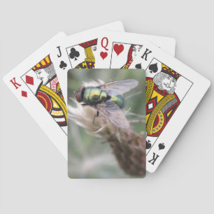 Green Bottle Fly Macro Playing Cards