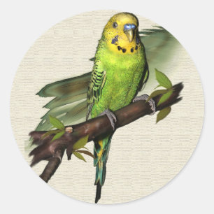 Green Budgie Stickers
