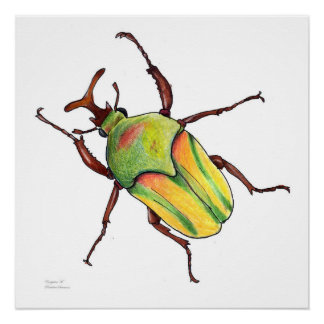 green bug poster