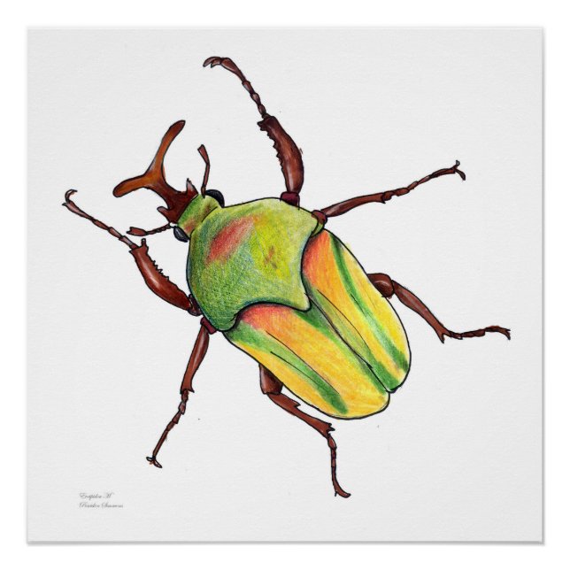 green bug poster (Front)