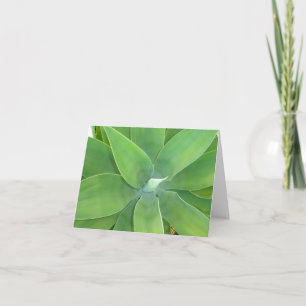 Green Burst Card
