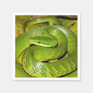 Green Bush Rat Snake Napkin