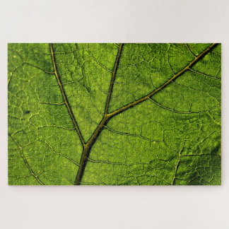 Green Butterbur Leaf  Jigsaw Puzzle