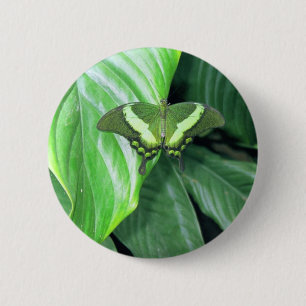 Green Butterfly 6 Cm Round Badge