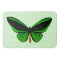 Green Butterfly Bath Mat