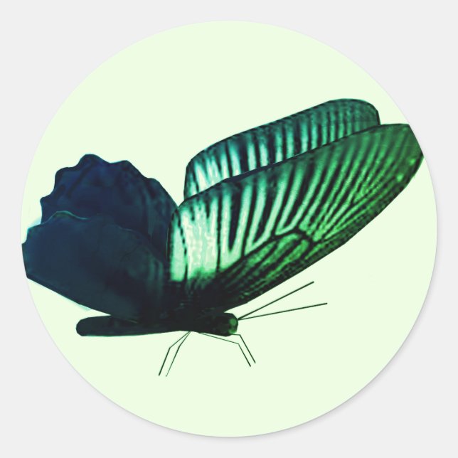 Green  Butterfly Envelope Seals (Front)