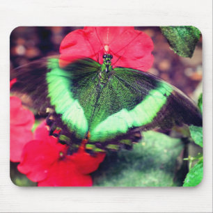 Green Butterfly Nature Mouse Pad