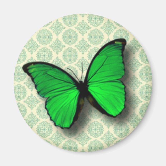 Green Butterfly on Vintage Pattern Magnet (Front)