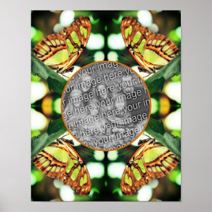 Green Butterfly Posing Frame Create Your Own Photo Poster