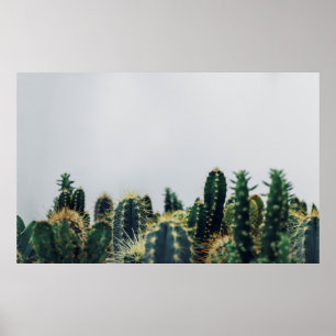 GREEN CACTI POSTER