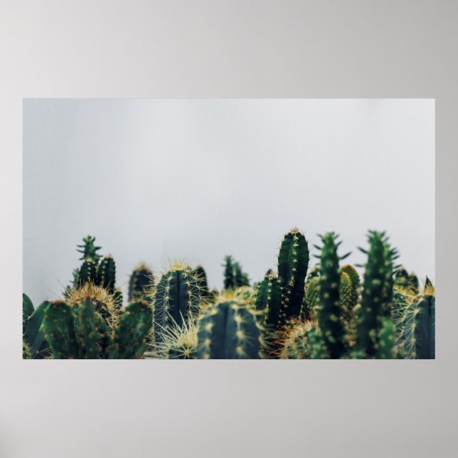 GREEN CACTI POSTER (Front)