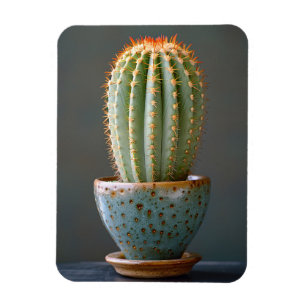 Green Cactus in a Teal Ceramic Pot Photography Magnet