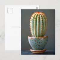 Green Cactus in a Teal Ceramic Pot Photography