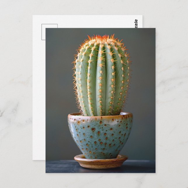 Green Cactus in a Teal Ceramic Pot Photography Postcard (Front/Back)
