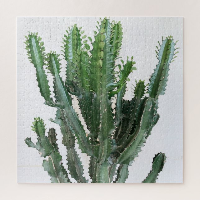 Green Cactus: Minimalist White Background Jigsaw Puzzle (Vertical)