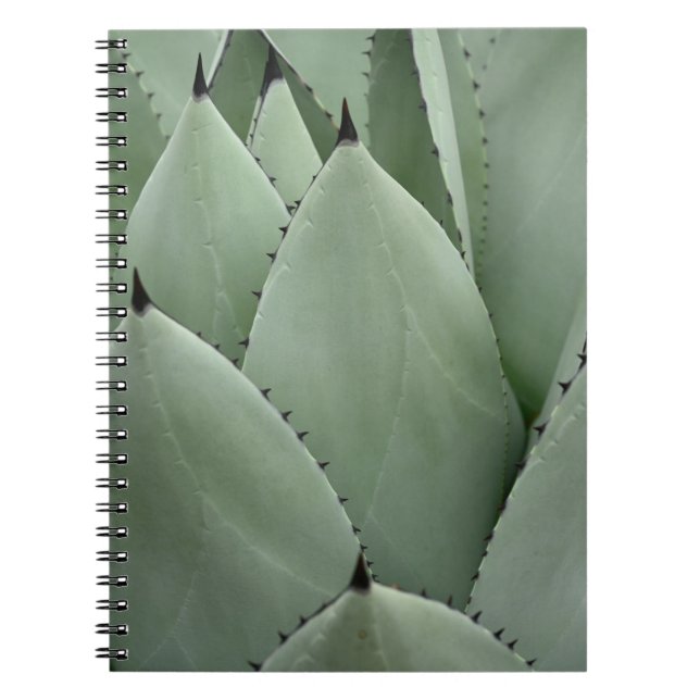 Green cactus notebook (Front)