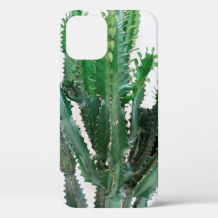 Green cactus on white background. iPhone 12 case