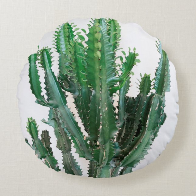 Green cactus on white background. round cushion (Front)