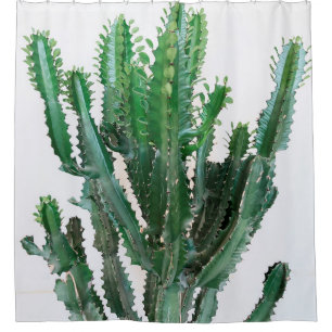 Green cactus on white background. shower curtain