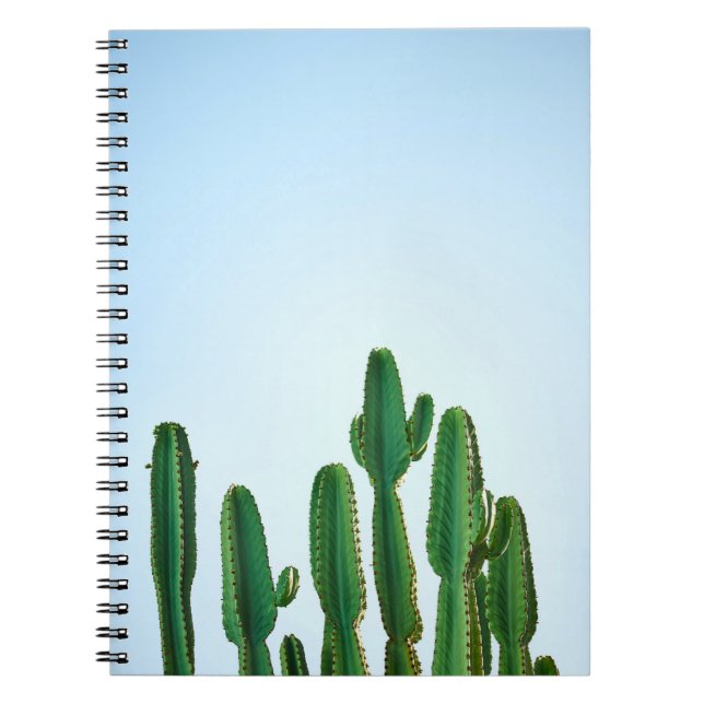 Green cactus plant in white background notebook (Front)