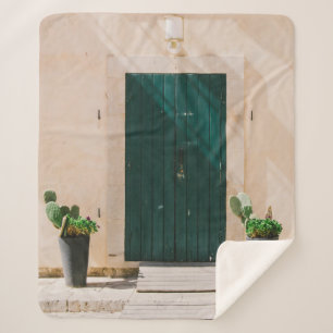 GREEN CACTUS PLANT NEAR GREEN DOOR SHERPA BLANKET