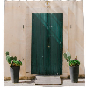 GREEN CACTUS PLANT NEAR GREEN DOOR SHOWER CURTAIN