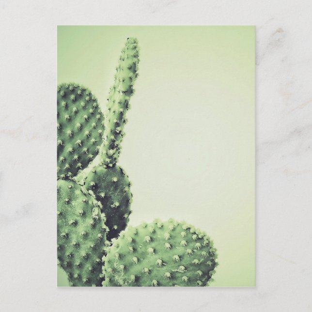 Green Cactus Postcard (Front)