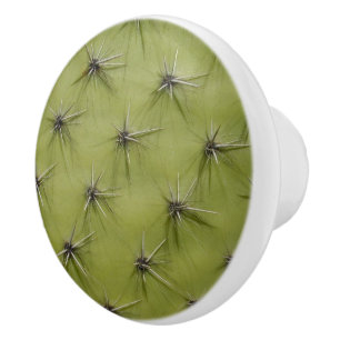 Green cactus pricks door and drawer pull knobs
