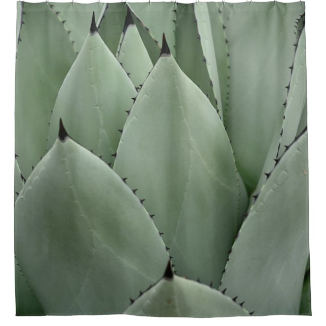Green cactus shower curtain (Front)