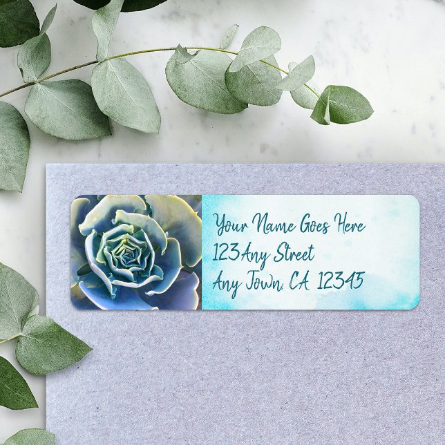 Green cactus succulent photo address stylish chic (Creator Uploaded)