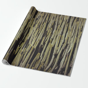 Green cactus wallpaper wrapping paper