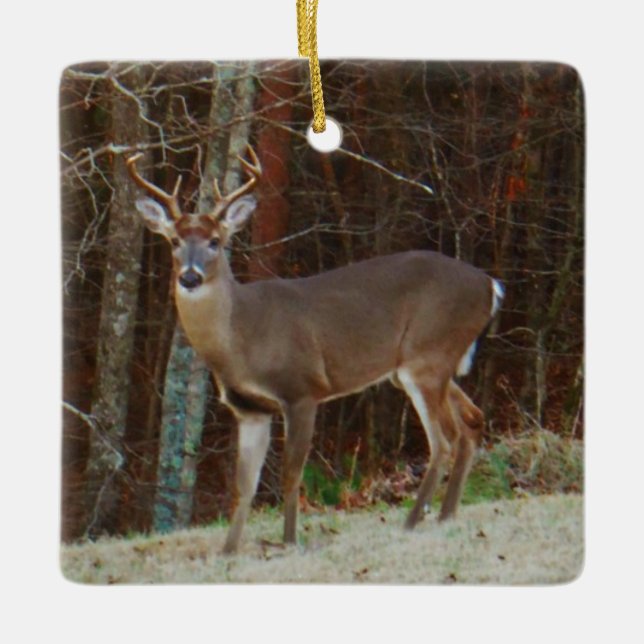 Green Camo,Camouflage Deer personalised Ceramic Tree Decoration (Front)