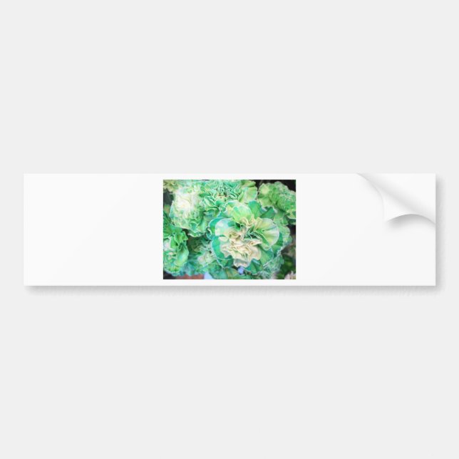Green Carnation Bumper Sticker (Front)