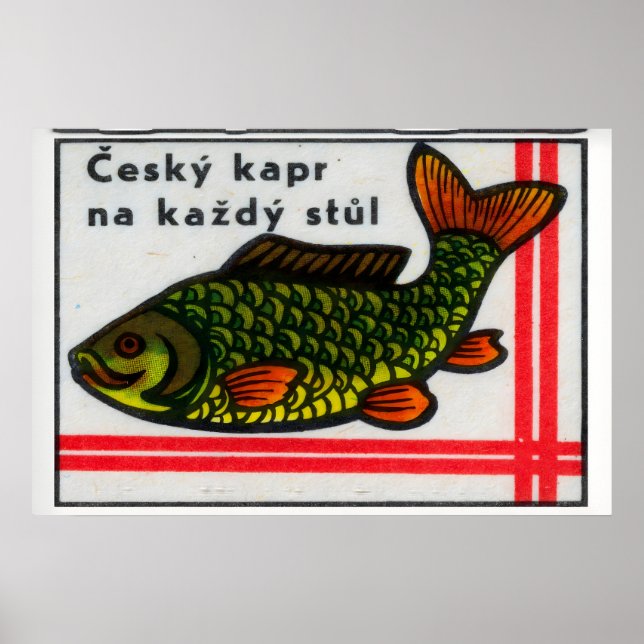 Green Carp Fish - Matchbox Print - Czech Wall Art (Front)