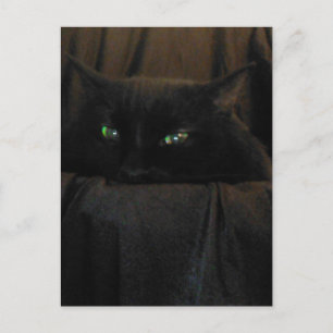 Green Cat Eyes Postcard