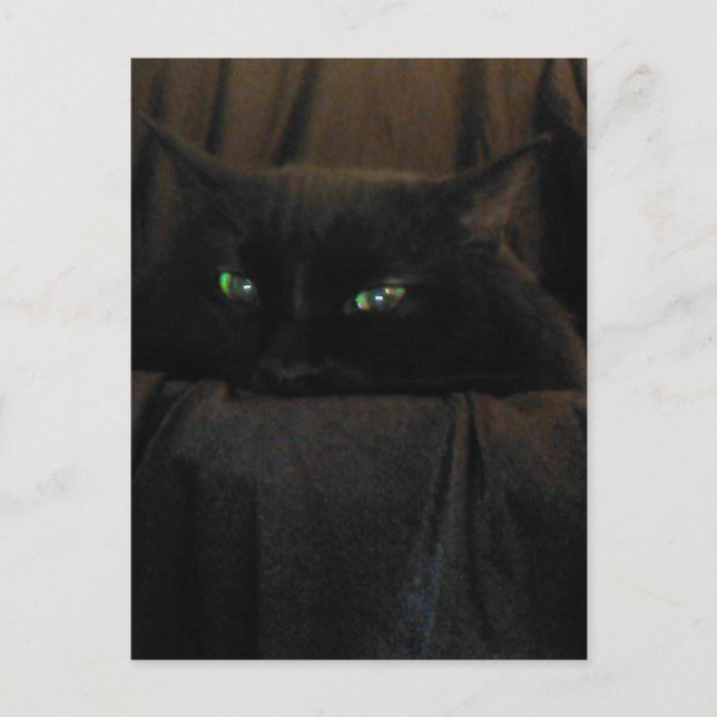 Green Cat Eyes Postcard (Front)