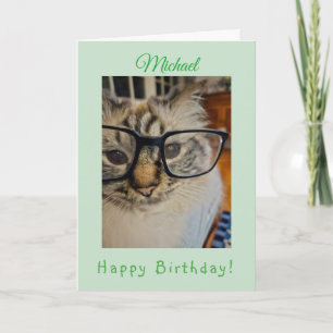 Green CAT Original Photo BIRTHDAY Name Card