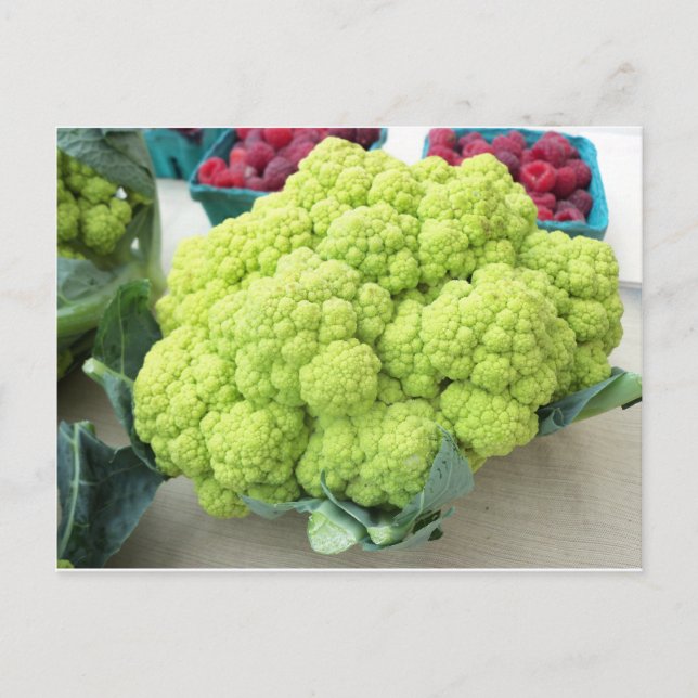 Green Cauliflower Postcard (Front)
